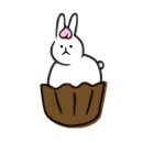 더카페스탑