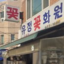 유정화원 네이버블로그