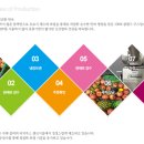 엘로이유통 이미지