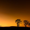 벨 헤이는 밤 이미지