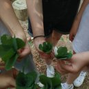 노*빈