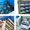 힘짱민물장어 이미지