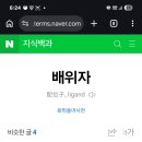 ㅋ 일지원하다가 퓨전시도하는 보지둘레들 창녀알고리즘새끼가 꼬행세들에 말도검 주파수젖문가도해댐 이미지