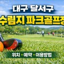 달서천변 티스토리