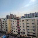 압구정-115 이미지