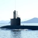 [단독]8조 잠수함 수주 위해…장보고함 폴란드 준다 이미지