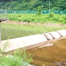 반월천1 이미지