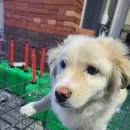 신흥4리마을회관 이미지