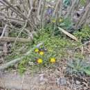 파크모텔 | 출장으로 이용하기 좋았던 논산모텔 제이제이파크모텔 후기~