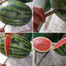 비아이태리 이미지