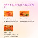 자연와송