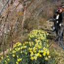 정안마을 이미지