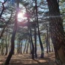 푸른인쇄사 이미지