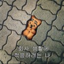 나만의 금융&세무 꿀팁 | ✨ 중소기업 청년 소득세 감면 경정청구하는 법 (feat. 환급처리 되면 후기 다시 낋) 📝
