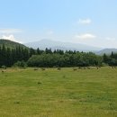 미래로목장 이미지