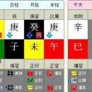 리트머스정관