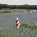 (주)수레 이미지