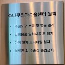 소나무동물메디컬 센터 | 인천 소나무 동물메디컬센터 10살 시니어 고양이 반려동물 건강검진