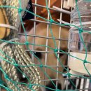 대이리농장 | 아산동물보호연대 유기견 해외이동봉사 후기 🐕✈️