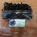 김창영농장 이미지