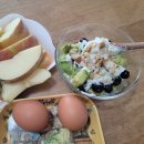 꾸덕 | 코스트코 그릭요거트 가격 종류 꾸덕 비교 내돈내산 후기