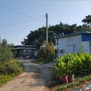 오가면010 이미지