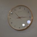 스마일동물병원 | 수원문안과 스마일라식 솔직후기｜수능 전 미리 받은 이유와 회복 과정까지