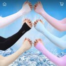 써니네 꼼지락
