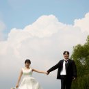 노을담은 | 신부님 대만족 피드백 폭발! 싱그러움과 감성을 담은 노을공원 웨딩 야외스냅 후기 🌿