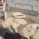 신토불이 이미지