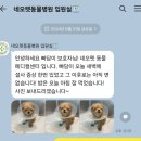 네오펫동물메디컬센터 | 양심적인 구리 24시간동물병원(feat. 네오펫동물메디컬센터)