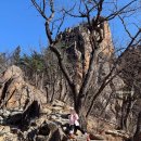 한계령 언덕집 | 설악산 흘림골 코스 :: 주전골 탐방로 예약 필수! 잊지않기로 해~!