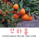 홍은농장 이미지