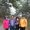 의복초 Daum카페