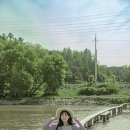 동백바둑 이미지