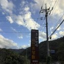 동강가든 | 동강전망 휴양림 오토캠핑장 데크53 이용후기