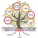가로수짐 이미지
