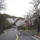 신화리로R 네이버블로그
