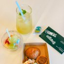 맹그로브 제주시티 이미지