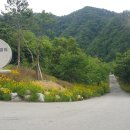 알프스밸리캠핑나라 네이버블로그