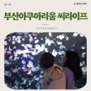 주식회사 해마 | 부산 아이와 함께 가볼만한곳 부산아쿠아리움 씨라이프 여행특공대 티켓 할인
