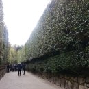 상념의 정원 이미지