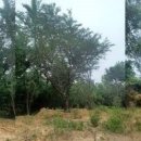 HK산림