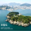 신우모텔 | 겨울철(11월~3월) 남도여행-여수 오동도 동백꽃 구경(동백 열차 시간표 등 가는 방법)