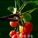 온생