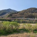 감자서리 이미지