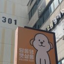 펫살롱 | 구미 애견 미용 | 호텔 | 형곡동 딩동댕 펫살롱 강아지 미용 솔직 후기