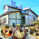 [애견동반 밀양 한식 맛집::다강]비빔밥,수제비 먹어본 후기_밀양 가볼만한곳