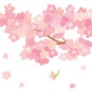 숑숑펫살롱 이미지