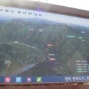 두례꽃
